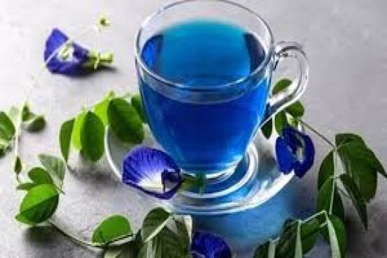 Sangu Poo Tea